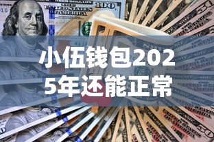 小伍钱包2025年还能正常借款吗？最新审核条件解析