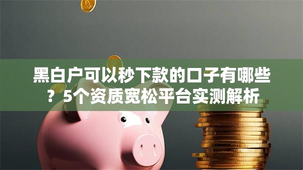 黑白户可以秒下款的口子有哪些？5个资质宽松平台实测解析
