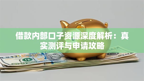 借款内部口子资源深度解析：真实测评与申请攻略