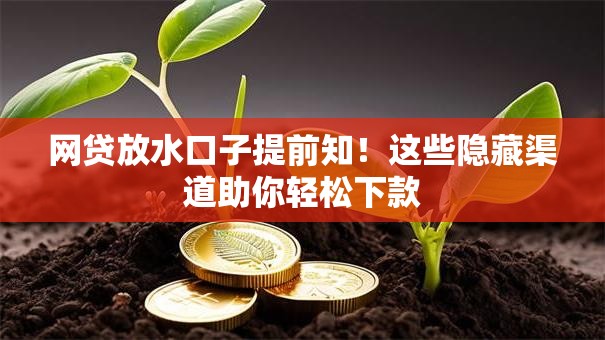 网贷放水口子提前知!这些隐藏渠道助你轻松下款 网贷放水口子提前知!这些隐藏渠道助你轻松下款