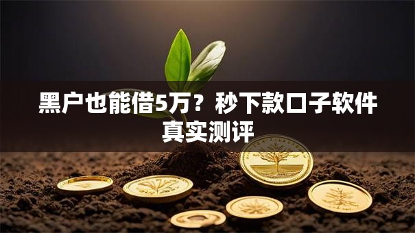 黑户也能借5万?秒下款口子软件真实测评 黑户也能借5万?秒下款口子软件真实测评