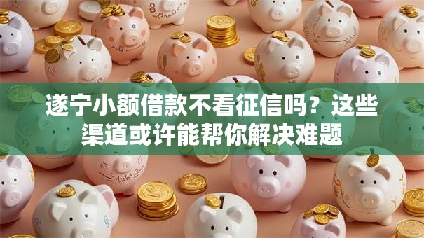 遂宁小额借款不看征信吗?这些渠道或许能帮你解决难题 遂宁小额借款不看征信吗?这些渠道或许能帮你解决难题