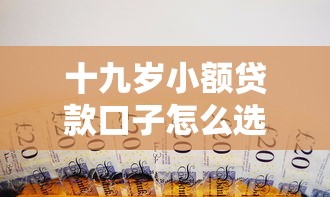 十九岁小额贷款口子怎么选？青年金融支持渠道拓宽攻略