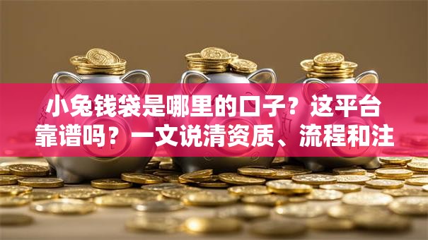 小兔钱袋是哪里的口子？这平台靠谱吗？一文说清资质、流程和注意事项