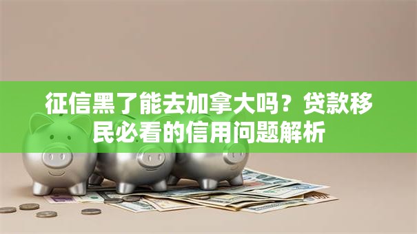 征信黑了能去加拿大吗？贷款移民必看的信用问题解析