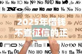 2025年借钱不查征信的正规平台有哪些?最新避坑指南 2025年借钱不查征信的正规平台有哪些?最新避坑指南