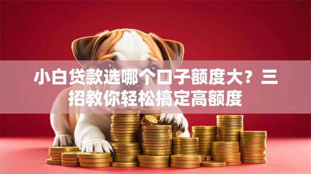 小白贷款选哪个口子额度大？三招教你轻松搞定高额度