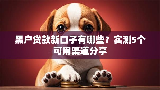 黑户贷款新口子有哪些？实测5个可用渠道分享