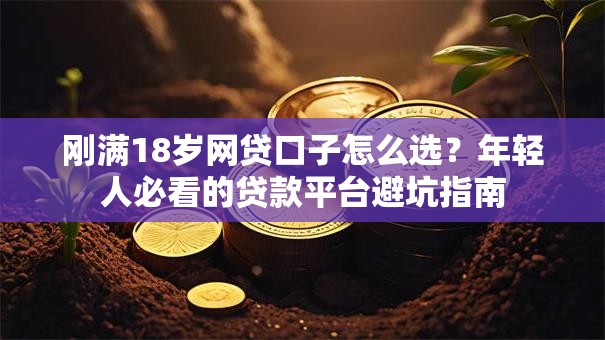 刚满18岁网贷口子怎么选？年轻人必看的贷款平台避坑指南