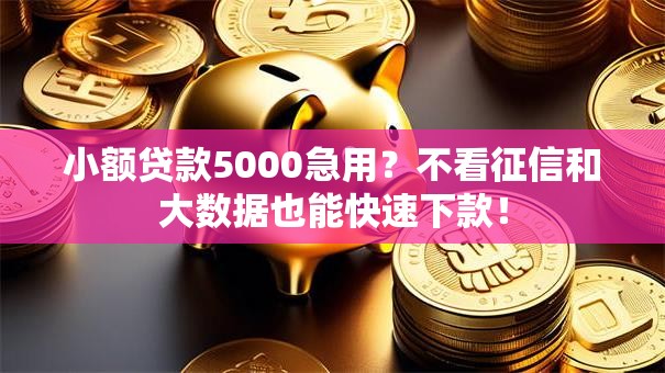 小额贷款5000急用？不看征信和大数据也能快速下款！