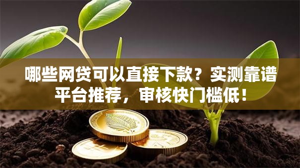哪些网贷可以直接下款？实测靠谱平台推荐，审核快门槛低！