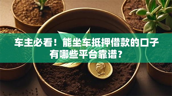 车主必看！能坐车抵押借款的口子有哪些平台靠谱？