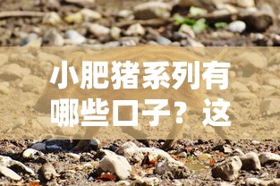 小肥猪系列有哪些口子?这些平台资质靠谱吗 小肥猪系列有哪些口子?这些平台资质靠谱吗
