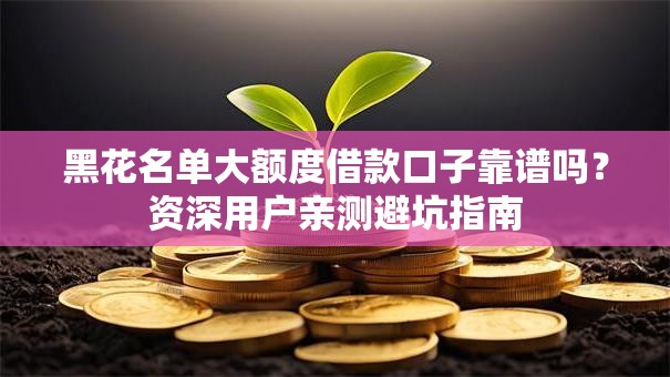 黑花名单大额度借款口子靠谱吗？资深用户亲测避坑指南