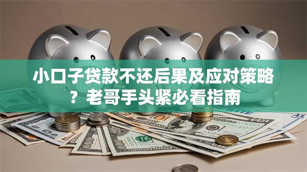 小口子贷款不还后果及应对策略？老哥手头紧必看指南