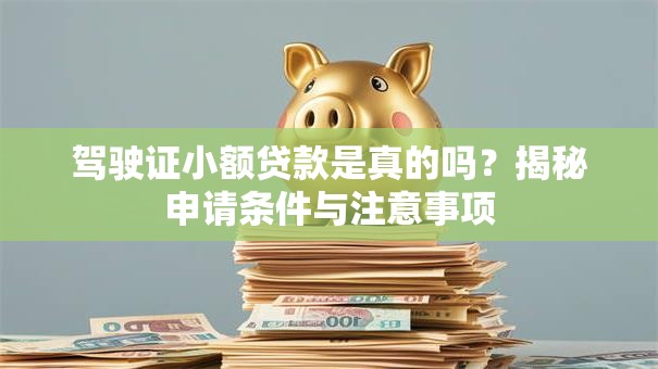 驾驶证小额贷款是真的吗？揭秘申请条件与注意事项