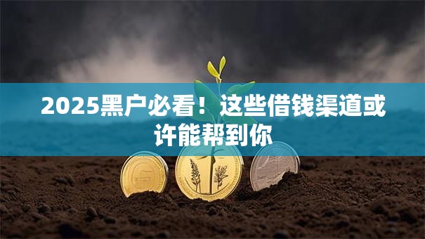 2025黑户必看！这些借钱渠道或许能帮到你