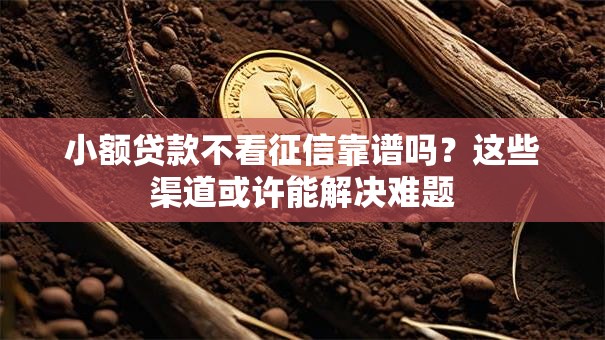 小额贷款不看征信靠谱吗？这些渠道或许能解决难题