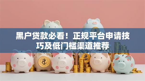 黑户贷款必看！正规平台申请技巧及低门槛渠道推荐
