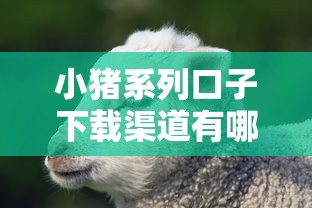 小猪系列口子下载渠道有哪些？实测5款靠谱平台推荐