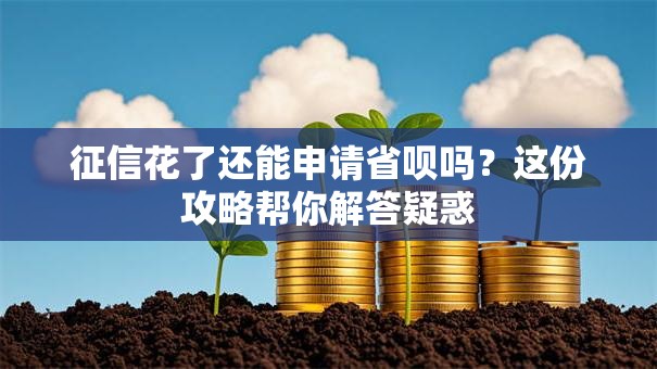 征信花了还能申请省呗吗?这份攻略帮你解答疑惑 征信花了还能申请省呗吗?这份攻略帮你解答疑惑