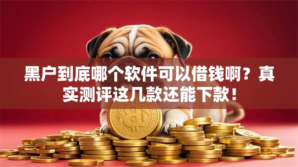 黑户到底哪个软件可以借钱啊？真实测评这几款还能下款！
