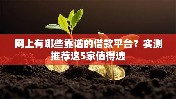 网上有哪些靠谱的借款平台？实测推荐这5家值得选
