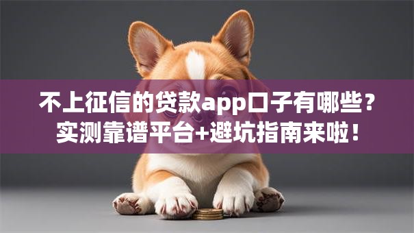 不上征信的贷款app口子有哪些？实测靠谱平台+避坑指南来啦！