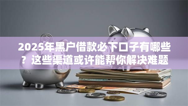 2025年黑户借款必下口子有哪些？这些渠道或许能帮你解决难题