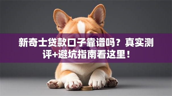 新奇士贷款口子靠谱吗？真实测评+避坑指南看这里！