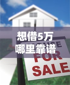 想借5万哪里靠谱？真实测评5大渠道避坑指南
