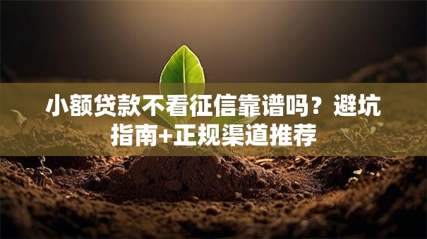 小额贷款不看征信靠谱吗?避坑指南+正规渠道推荐 小额贷款不看征信靠谱吗?避坑指南+正规渠道推荐