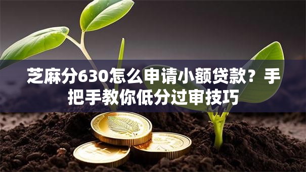 芝麻分630怎么申请小额贷款？手把手教你低分过审技巧