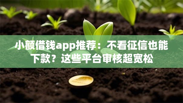 小额借钱app推荐：不看征信也能下款？这些平台审核超宽松