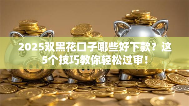2025双黑花口子哪些好下款？这5个技巧教你轻松过审！