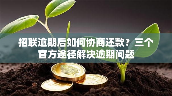 招联逾期后如何协商还款？三个官方途径解决逾期问题