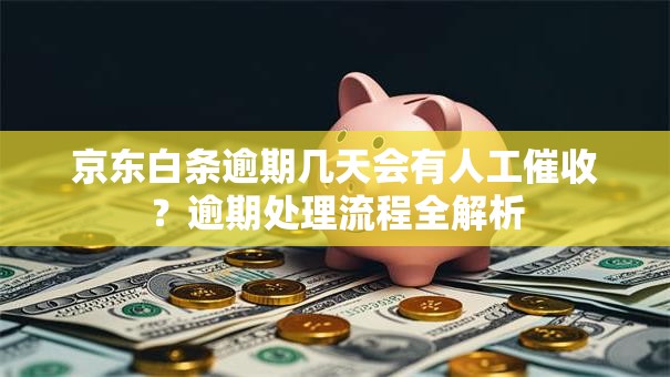 京东白条逾期几天会有人工催收?逾期处理流程全解析 京东白条逾期几天会有人工催收?逾期处理流程全解析