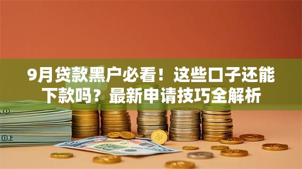 9月贷款黑户必看!这些口子还能下款吗?最新申请技巧全解析 9月贷款黑户必看!这些口子还能下款吗?最新申请技巧全解析