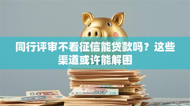 同行评审不看征信能贷款吗？这些渠道或许能解困
