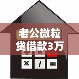 老公微粒贷借款3万多后续处理方案及信用管理指南