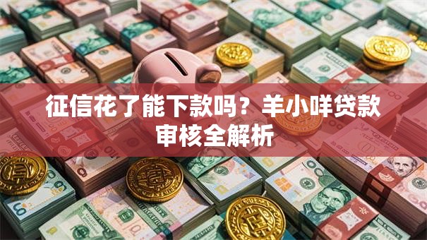 征信花了能下款吗？羊小咩贷款审核全解析