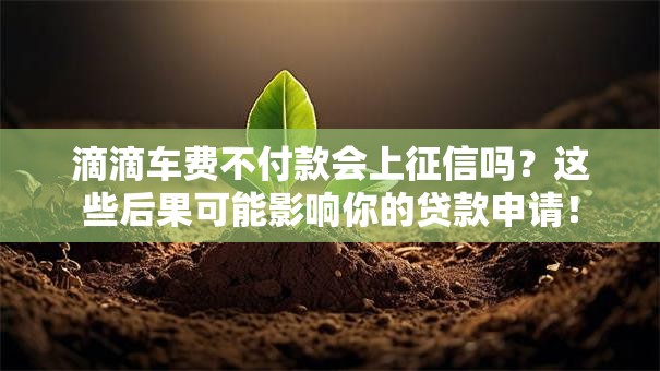 滴滴车费不付款会上征信吗？这些后果可能影响你的贷款申请！