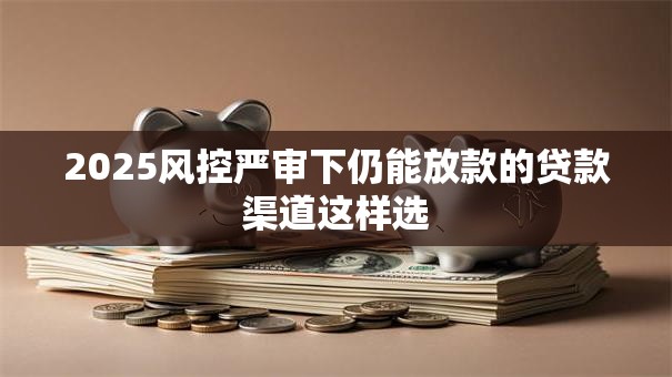 2025风控严审下仍能放款的贷款渠道这样选 2025风控严审下仍能放款的贷款渠道这样选