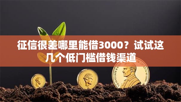 征信很差哪里能借3000？试试这几个低门槛借钱渠道