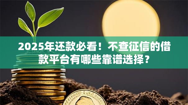 2025年还款必看！不查征信的借款平台有哪些靠谱选择？