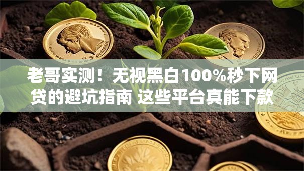 老哥实测！无视黑白100%秒下网贷的避坑指南 这些平台真能下款吗？