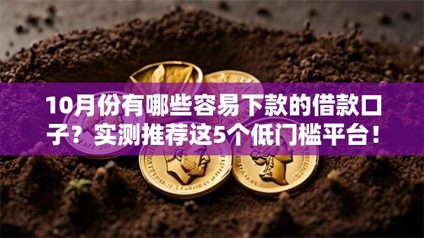 10月份有哪些容易下款的借款口子？实测推荐这5个低门槛平台！