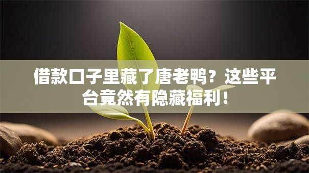 借款口子里藏了唐老鸭？这些平台竟然有隐藏福利！