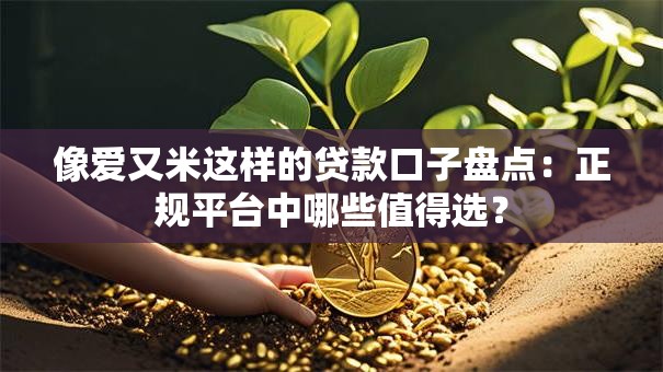 像爱又米这样的贷款口子盘点：正规平台中哪些值得选？