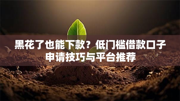 黑花了也能下款？低门槛借款口子申请技巧与平台推荐